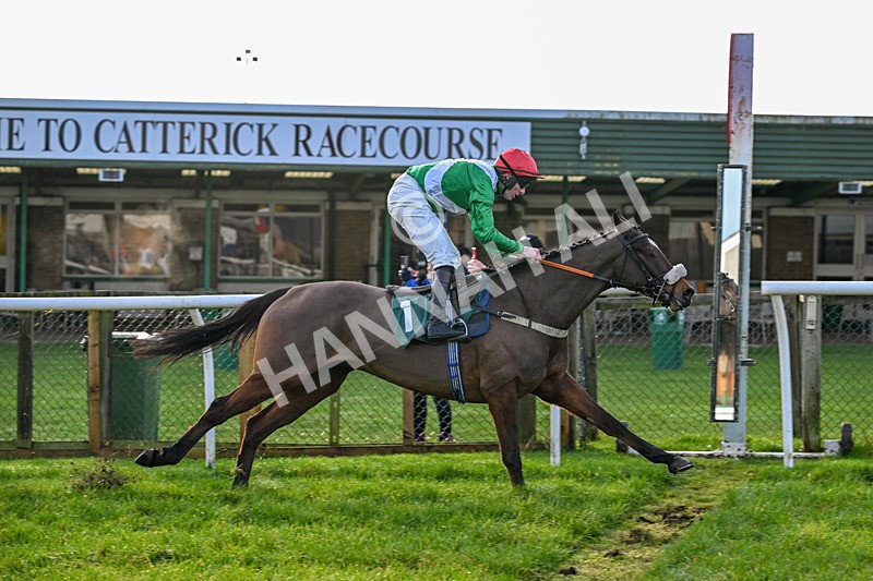 161225-Race 3-Passing Pleasure-8288 - Race 3