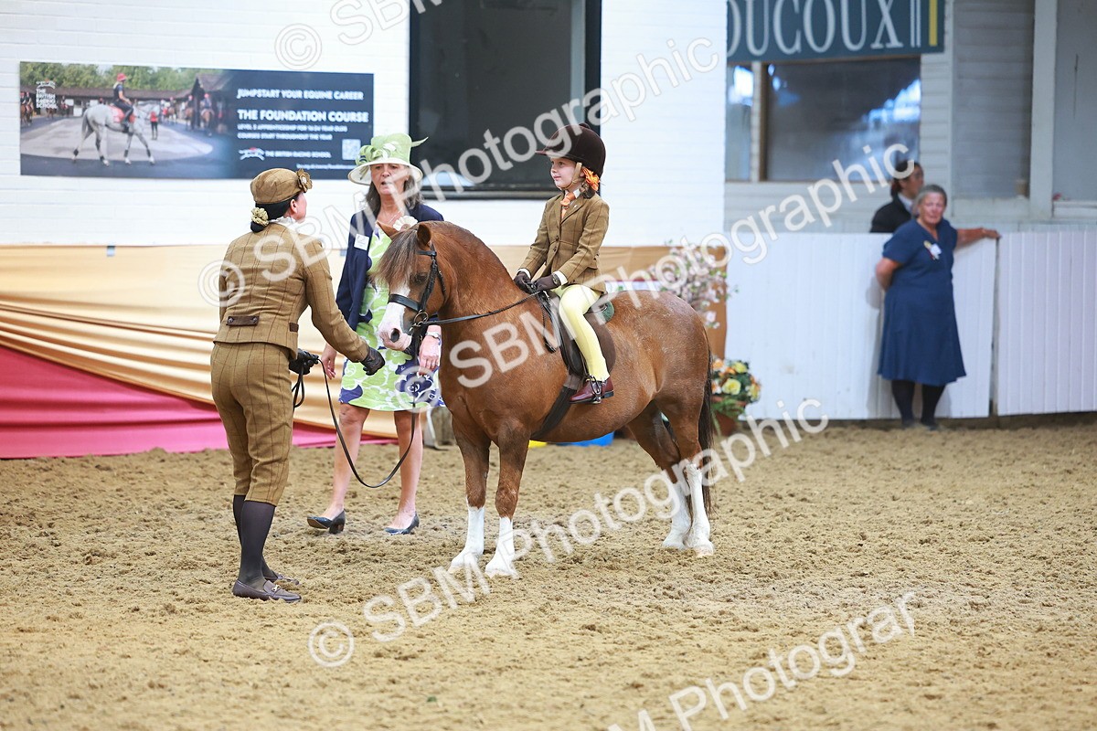 SBM_12628 - Class 103 - HOYS Veteran Qualifier - Ridden Pre Vet