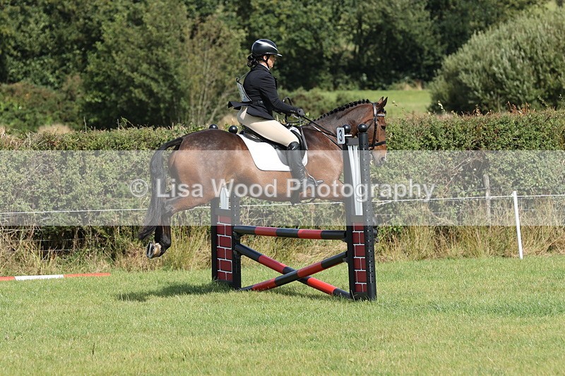 JPP_8862 - Class 2: Trekenning: 80cm Showjumping