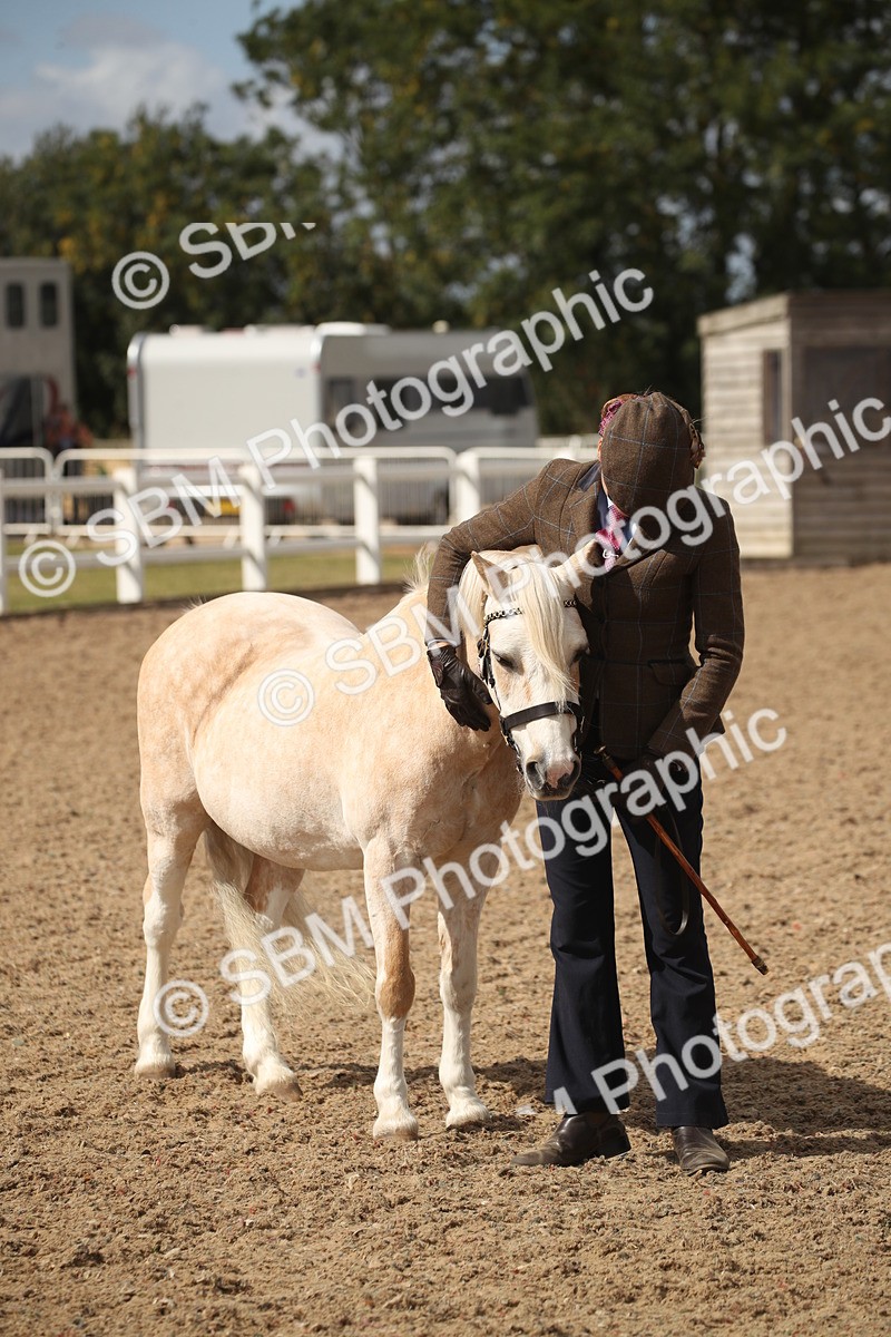 SBM_23468 - Class 604 - 2026 - Area IH Diamond