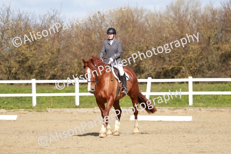 20260314-2827 - DR3 - Prelim 1