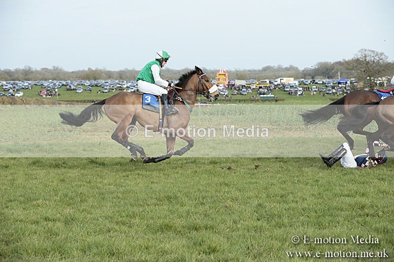 PtP 230319 447 - VWH Hunt Siddington Point-to-Point Racing 23/03/19