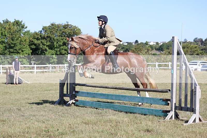 3E7A5424 - Class 3: Working Hunter 70cm