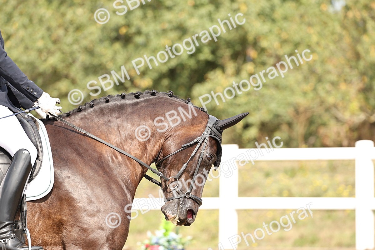 SBM_013074 - Class 3 - Novice 4 - 11.43-12.25