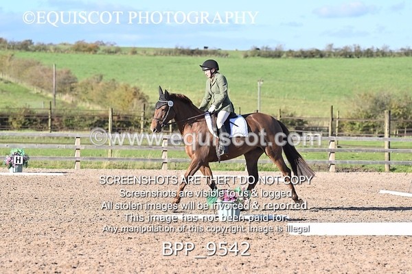 BPP_9542 - SHORT ARENA