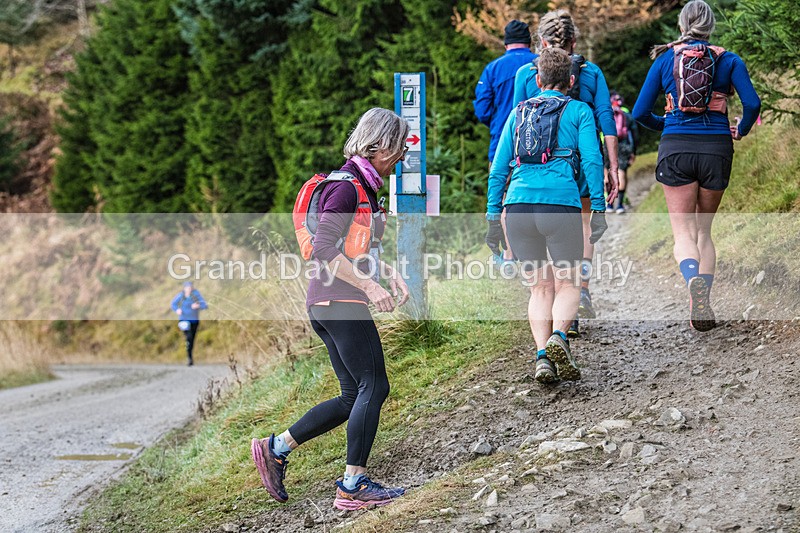 Glentress 21  10K-517 - High Terrain Events Glentress 21 & 10K Trail Races Saturday 16th November 2024