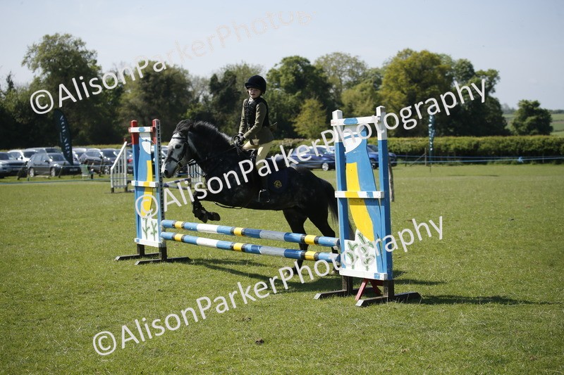 20250427-2157 - Class 13 - Novice Jumping 60cm