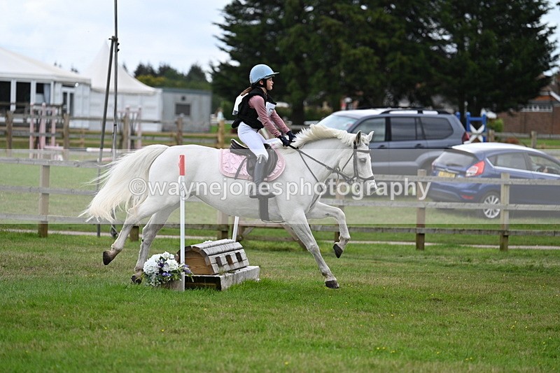 WJ7_8487 - 60cm Time 12:11 to 12:30