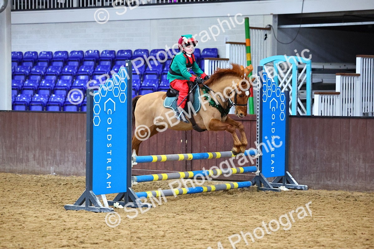 SBM_001370 - Class 3 - Christmas Tree Stakes - 60cm