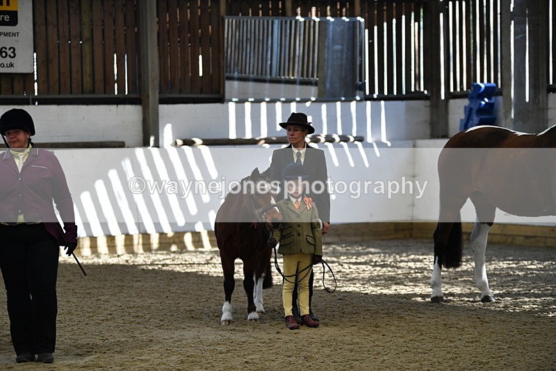 WJ5_3915 - Class 5 In Hand Veterans