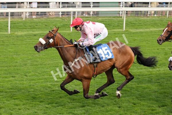 yr18082021r5-57 - Race 5 4.10pm Sky Bet Stakes