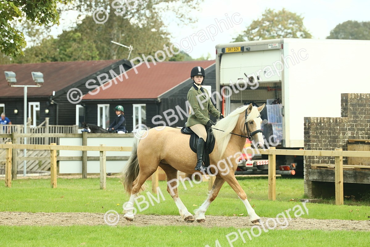 SBM_62648 - S63 - Other Coloured Horse Ridden
