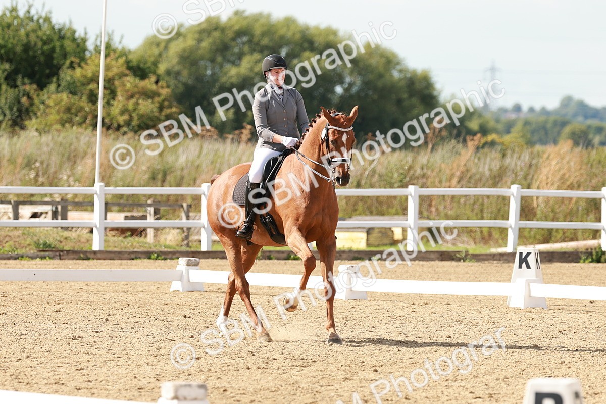 SBM_002534 - Class 11 - Medium 6