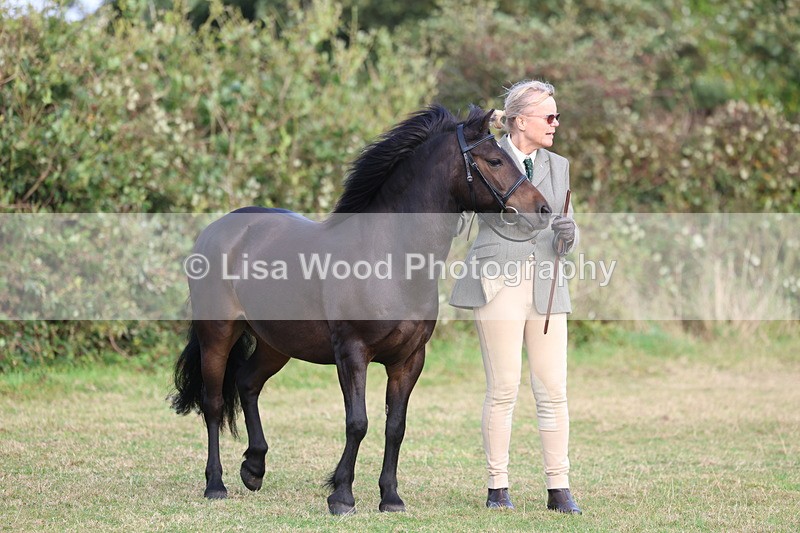 3E7A3242 - Class 12: M & M Small Breeds