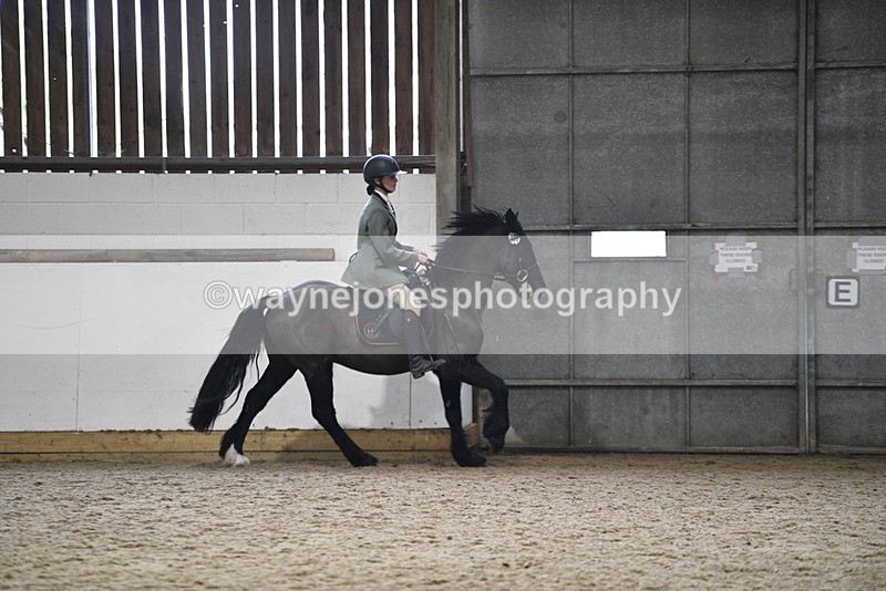 WJ5_7900 - Class 13 Ridden Part Breed