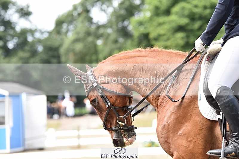 140110A-005028-10751 - 030-Harriet.Dickin-Custer.of.the.West