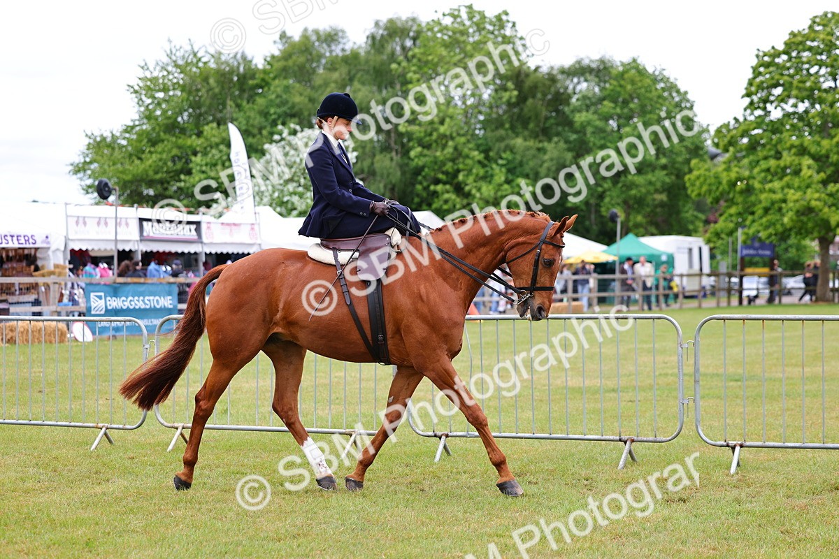 SBM_02705 - Class 9-11 Side Saddle including LIHS Rising Star Ladies Show Horse