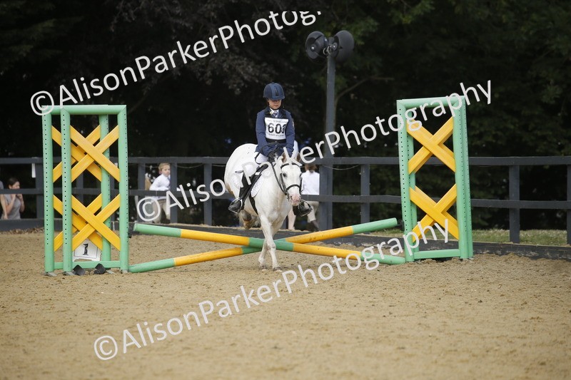 20250622-3602 - 50cm