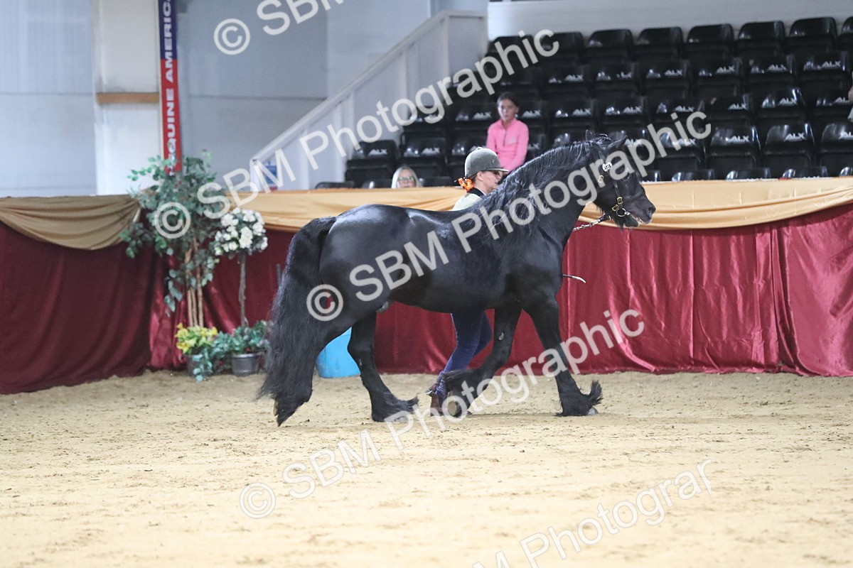 SBM_04991 - Class 8R- Regional -IH Veteran