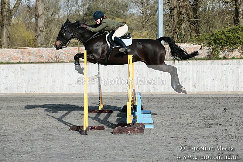 BVRC SJ 170319 846 - Bourne Valley Riding Club Showjumping 17/03/19