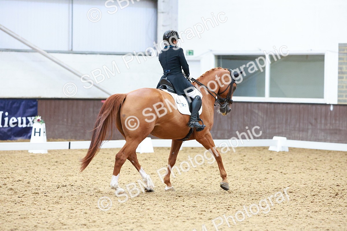 SBM_021348 - Class 25 - FEI PSG Bronze