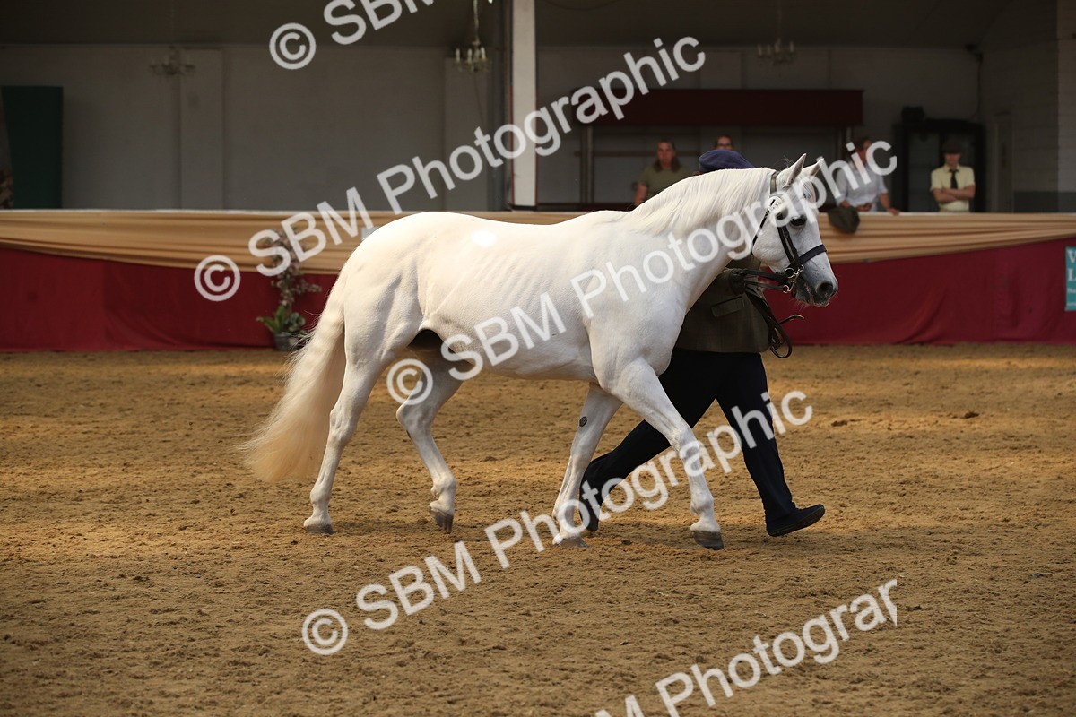 SBM_05620 - Class 9R - Regional IH Pre-Vet