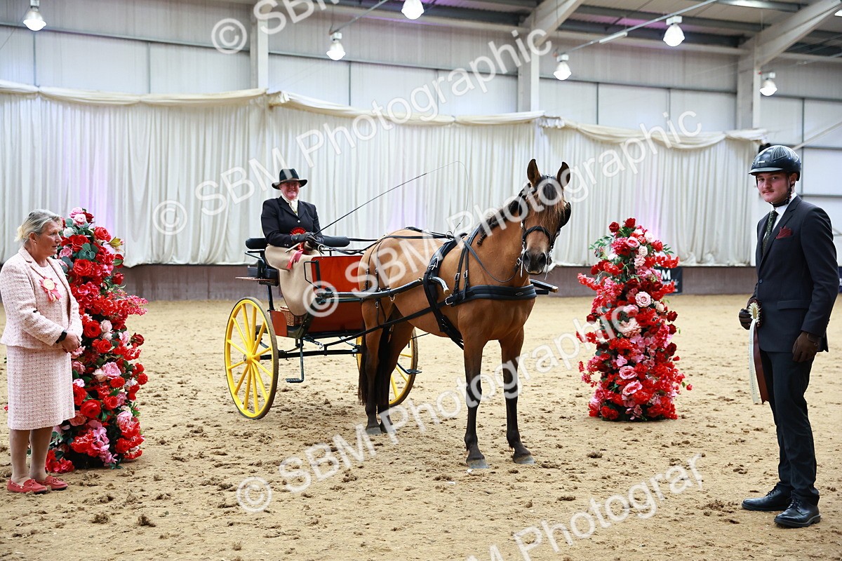 SBM_001082 - Class 15 - Open Showmans Class
