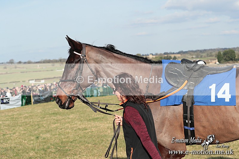 PtP 010325 363 - Beaufort Races Didmarton 01/03/25