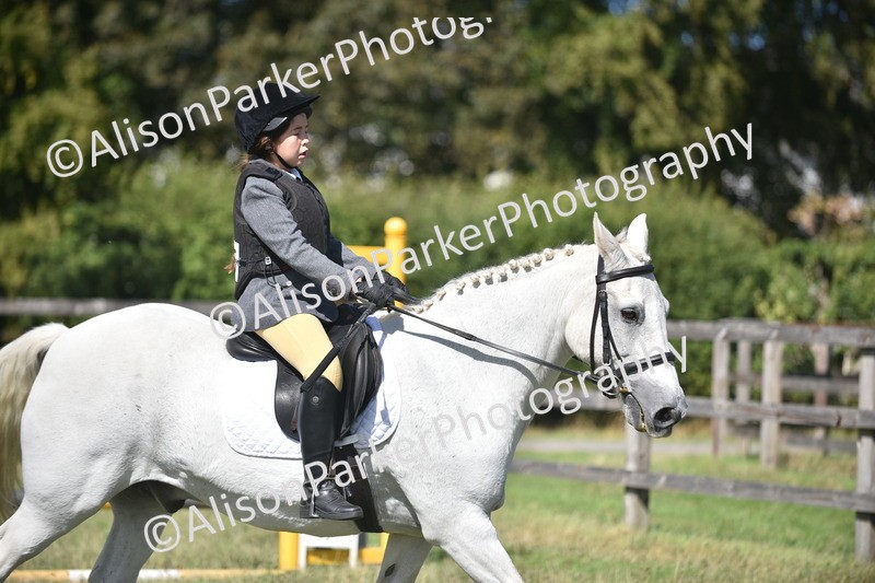 20260906-1684 - Class 9 - Absolute Novice Jumping 45cm