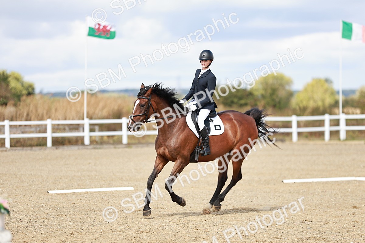 SBM_010677