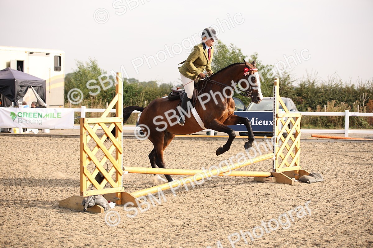 SBM_10259 - Class 402 Riding Club Horse