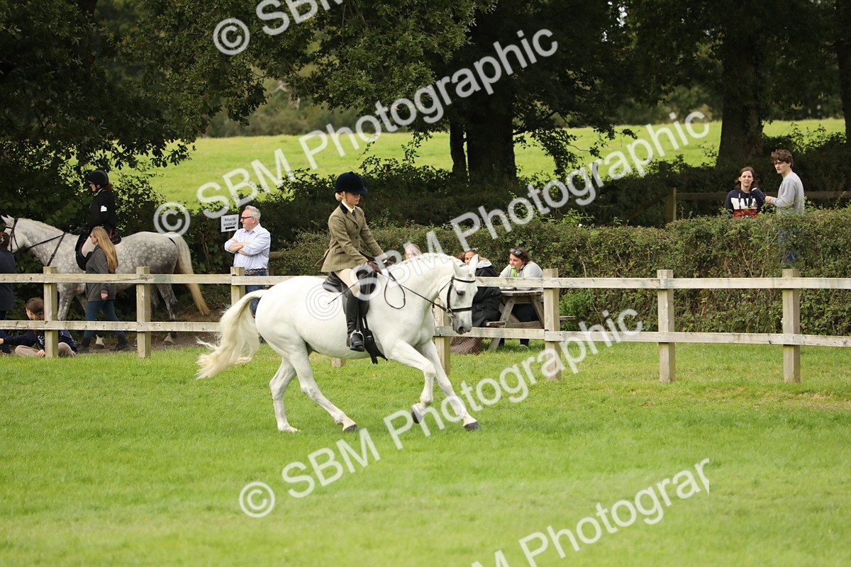 SBM_71683 - S41 - Ridden Equitation (Best Rider)