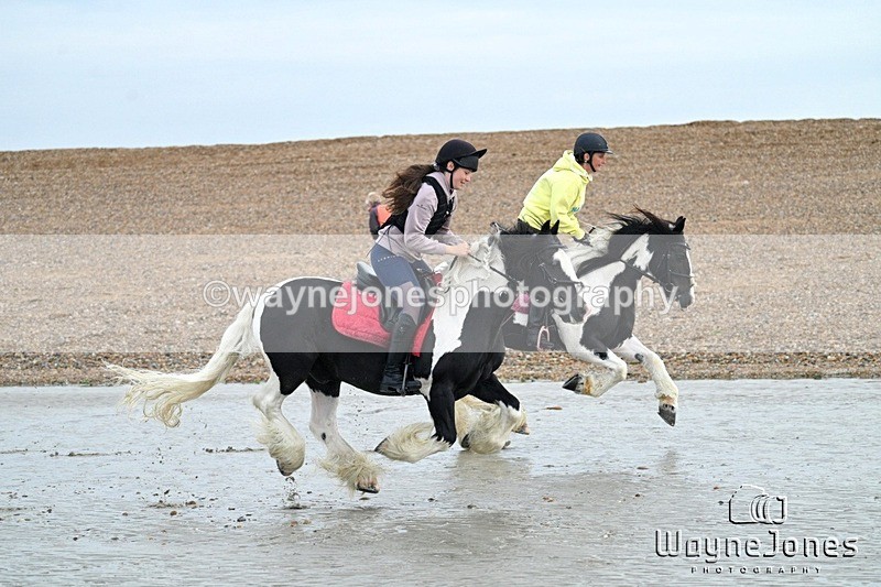 WJ7_9438 - Hayling Island Beach Shoot 22-09-24