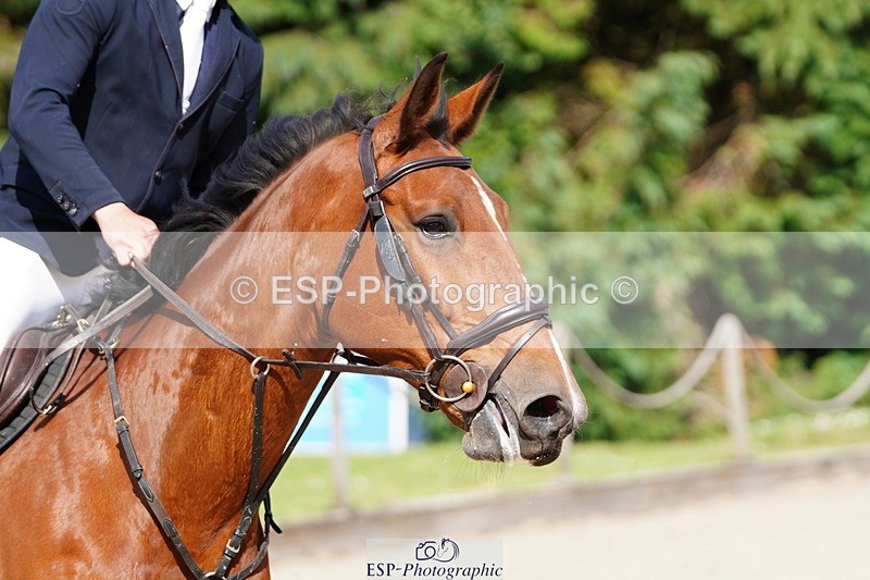 250615A-164428-12579 - Class 50 Snr Newcomers