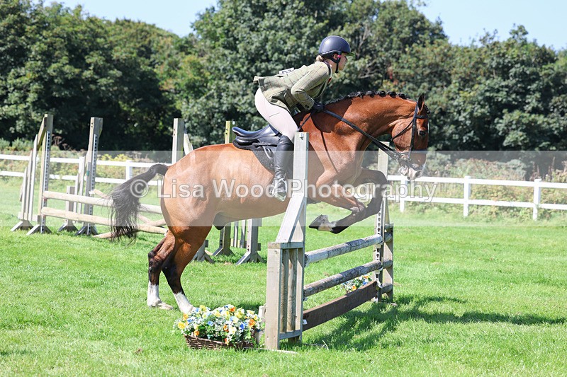 3E7A8550 - Class 5: Working Show Horse