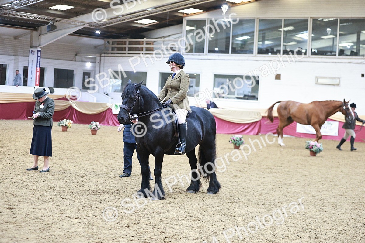 SBM_09029 - Class 12R - Regional Ridden Pre-Vet
