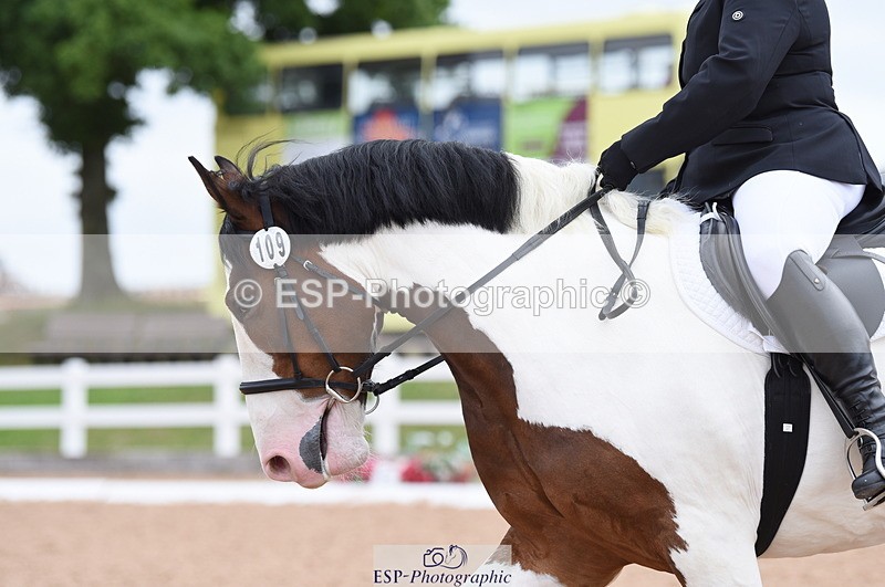 230702A-104002-08474 - Cls 17+18 Prelim 2