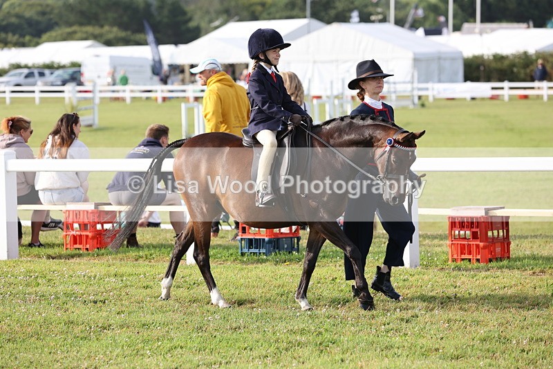 JPP_0174 - Class 14: Cornish Combination Leading Rein