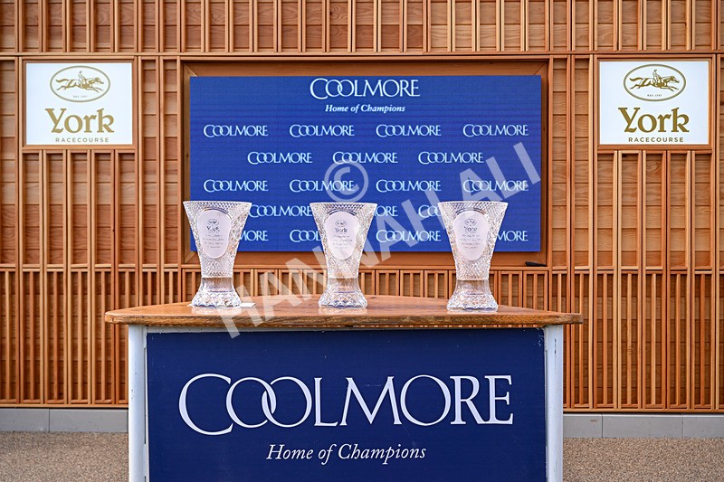 210826-Race 4-Bacio-0492 - Race 4 15.35pm Coolmore City Of Troy Nunthorpe Stakes