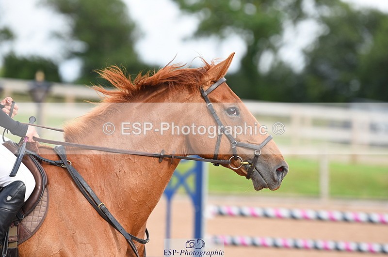 230711A-175122-00350 - 80cm