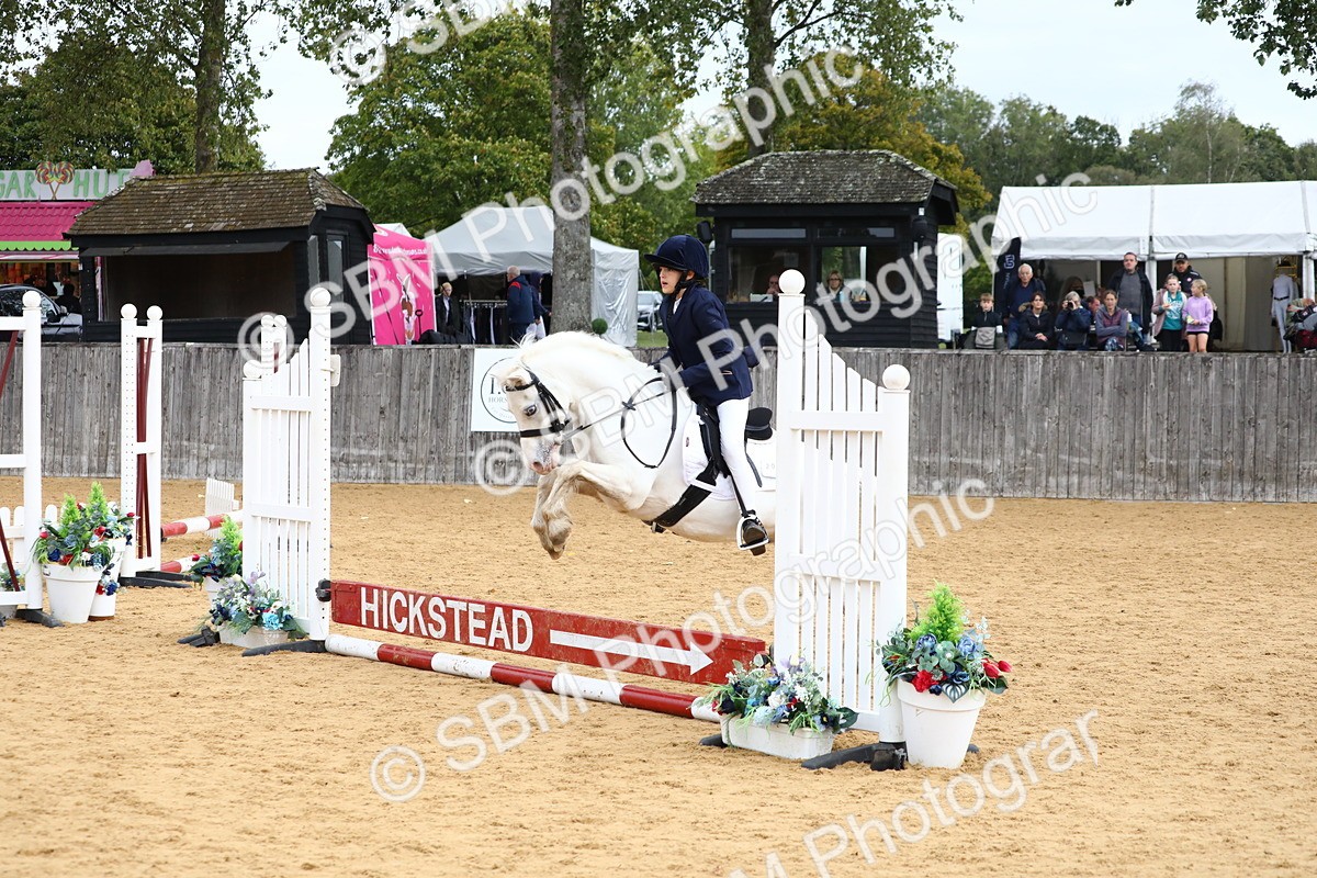 SBM_68120 - J3b - Mini Tour Junior Pony 40cm Championship