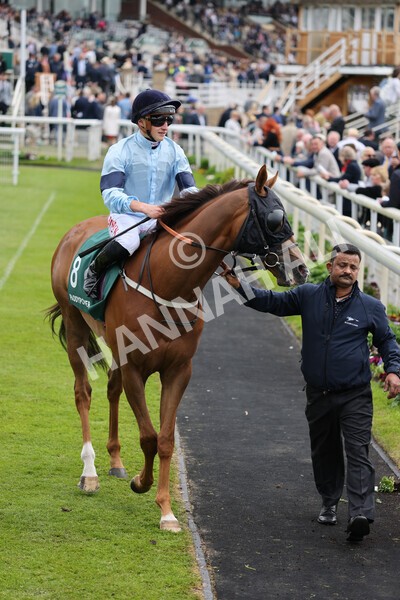 yr13052022r3-20 - Race 3 3.00pm Paddy Power 'I Love Steak' Stakes