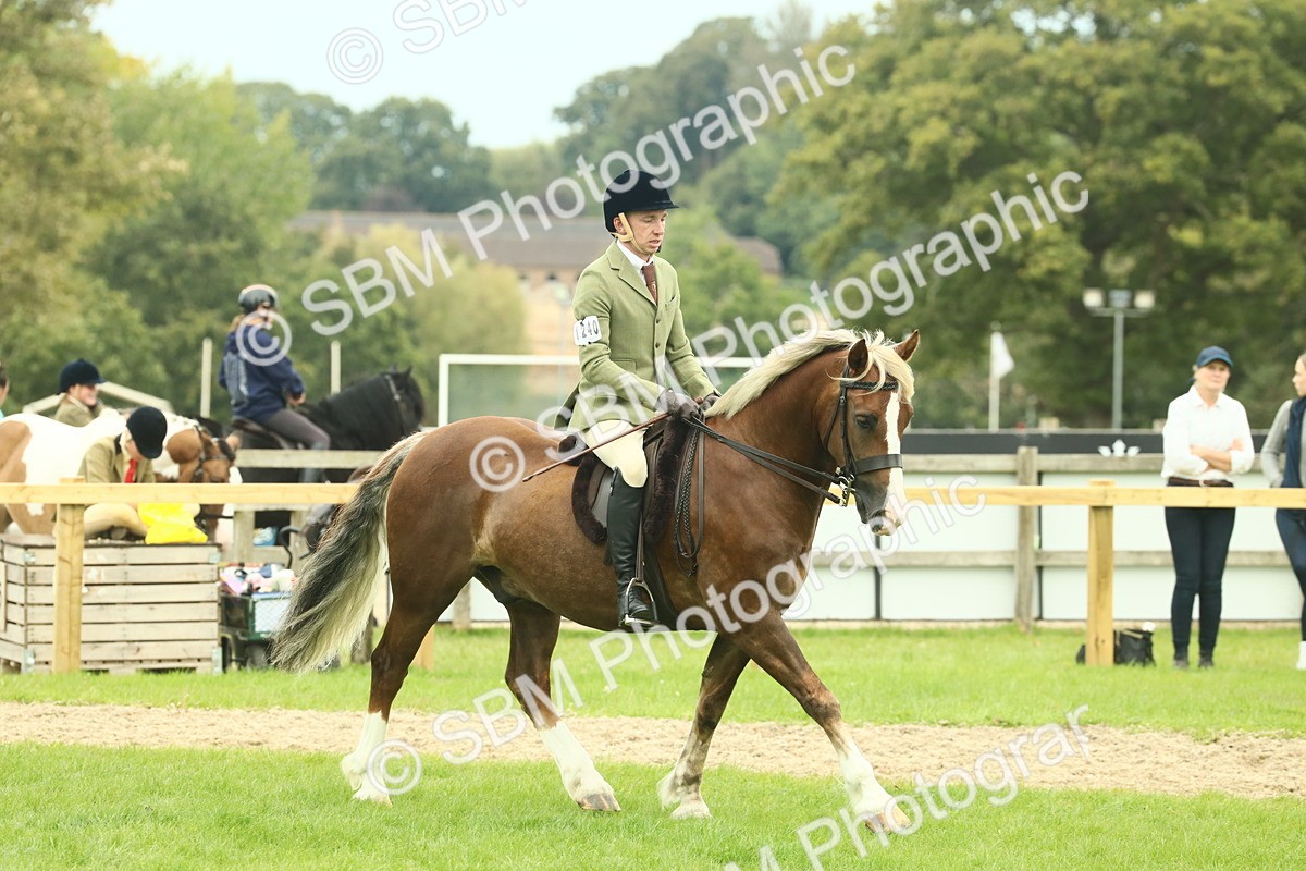 SBM_72094 - S60 - Mountain & Moorland Ridden Large Breeds