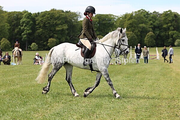 IMG_3417 - Working Hunter