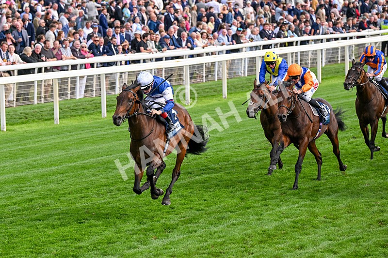 210826-Race 6-Benjamin Hornigold-0371 - Race 6 16.45pm British Stallion Studs EBF Convivial Maiden Stakes