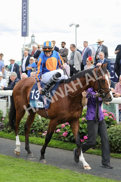 yr19082022r6-5 - Race 6 4.45 pm British Stallion Studs EBF Convivial Maiden Stakes