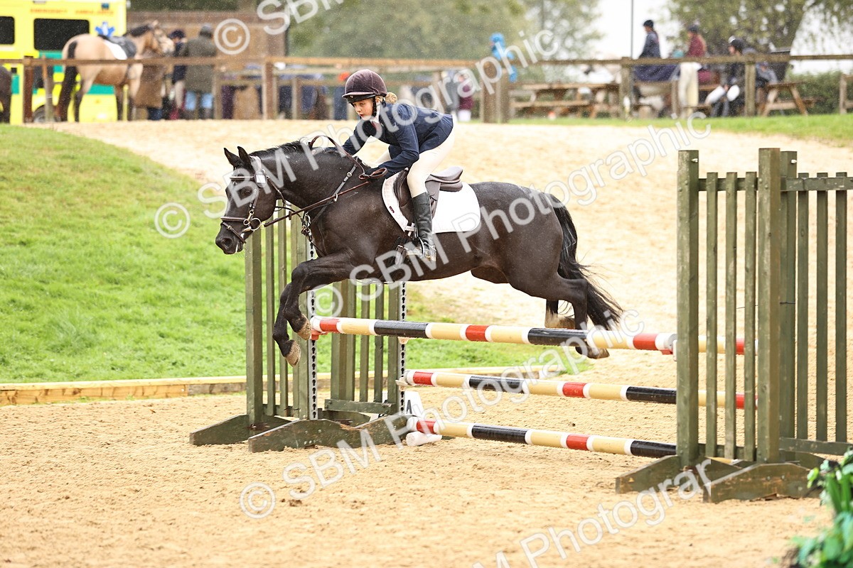 SBM_69977 - Supreme Championship 80cm 85cm