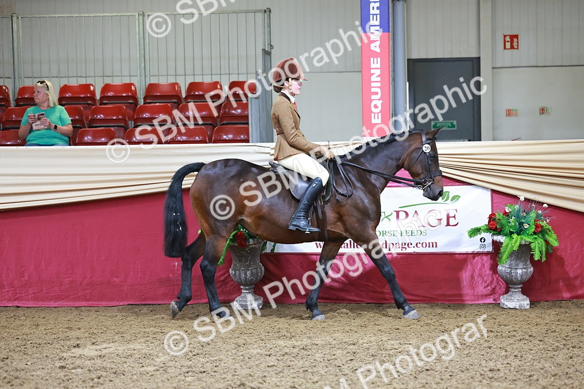 SBM_11787 - Class 102 - Equitation (Best Rider) Adult