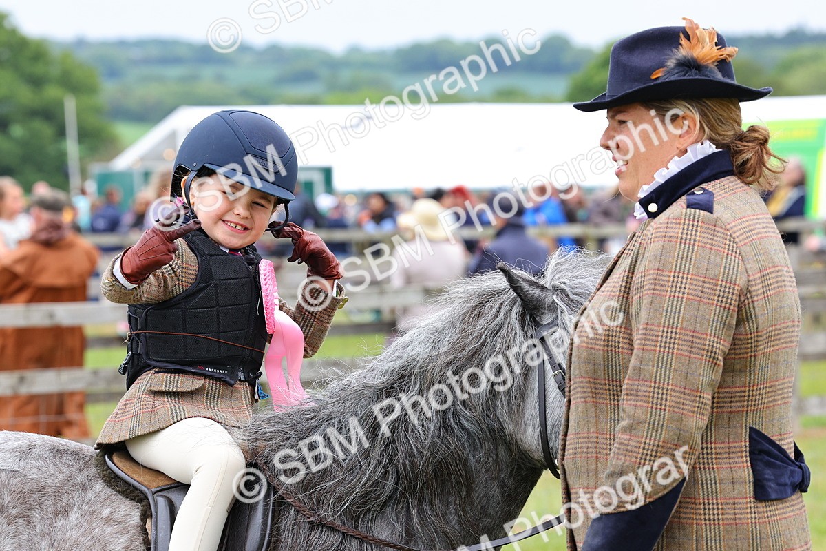 SBM_08394 - Class 42-43 - LIHS BSPS Heritage Working Sports Pony