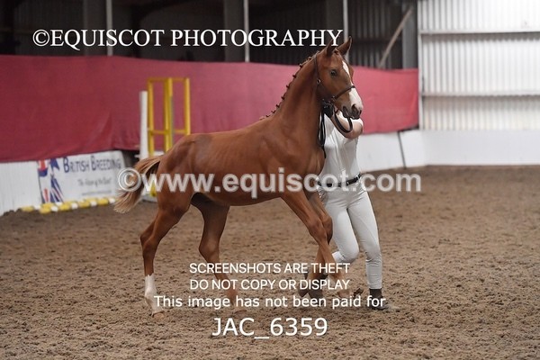 JAC_6359 - 19 Luca